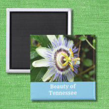 Passionflower Tennessee staatsventilator