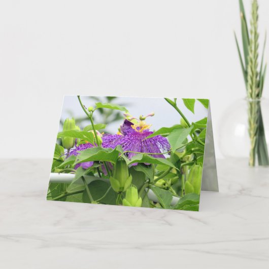 Passionijn Wenskaart Kaart (Voorkant)