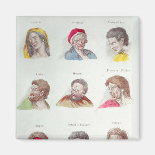 Passions, bord V, pub. door R. Edwards, Londen Magneet
