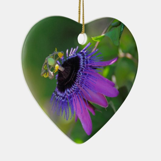 Passionsblume (Passiflora) Keramisch Ornament (Rechts)