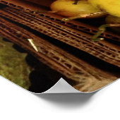 Passionvruchten voor verkoop poster (Hoek)