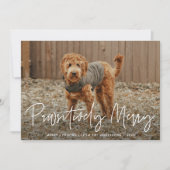 Passitief vrolijk rood huisdier foto feestdagenkaart (Voorkant)