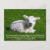 Passover Lamb, Isaiah 53 Briefkaart (Voorkant)