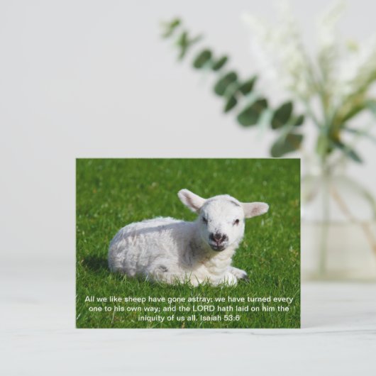 Passover Lamb, Isaiah 53 Briefkaart (Staand voorkant)