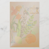 Passover Seder Stationery Briefpapier (Voorkant)