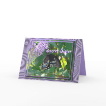 Past de Geheime Zuster lav-Bfly aan