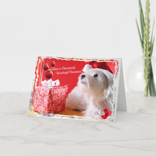 Past Prachtige Kerstmis Wishes4 van Westie het aan Feestdagen Kaart (Voorkant)