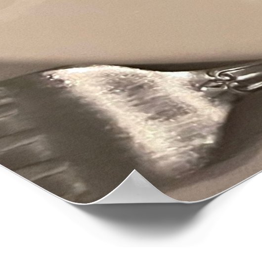 Pasta Photo Poster (Hoek)