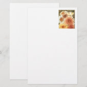 "Pastal Daisies" Floral Stationery Briefpapier (Voorkant / Achterkant)