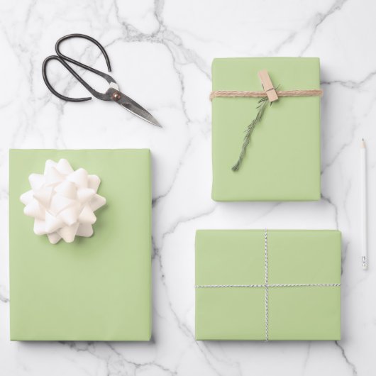 Pastel Appelgroen Effen Kleur  Inpakpapier Vel (Voorkant)