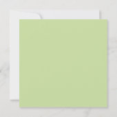 Pastel Appelgroen Effen Kleur Kaart (Achterkant)