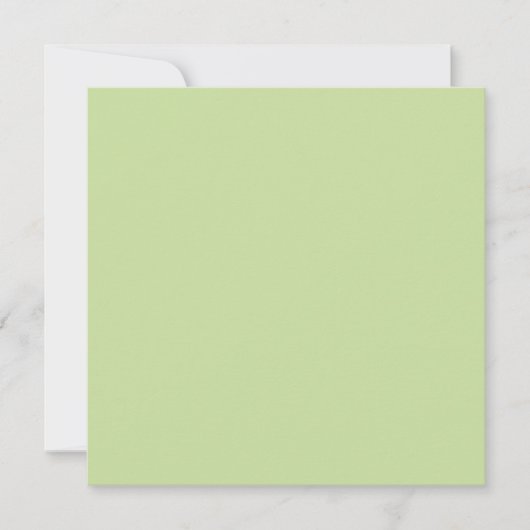 Pastel Appelgroen Effen Kleur Kaart (Voorkant)
