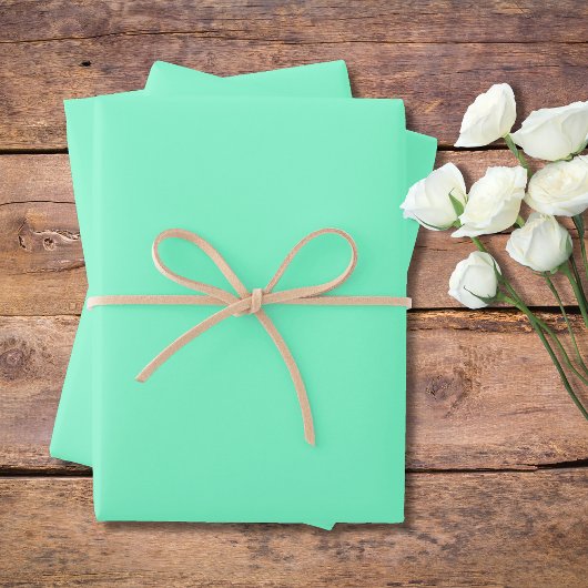 Pastel Aqua Marine Solid Color | Klassiek | Elegan Inpakpapier Vel