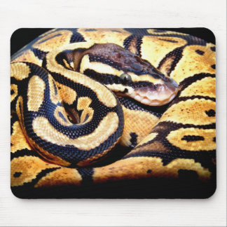 Pastel Ball-Muismat Muismat