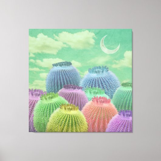 Pastel Barrel Cactus tegen wollig hemel Collage Canvas Afdruk (Voorkant)