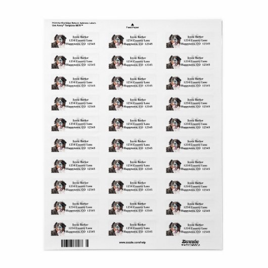 Pastel Bernese Mountain Dog Return Label (Full Sheet)