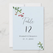 Pastel blauw roze rood groene bloemen Tafelnummers (Voorkant)