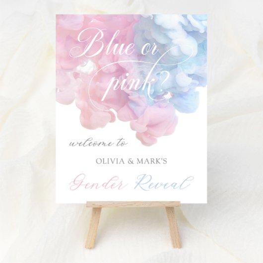 Pastel Blauw Roze Rook Geslacht onthullen Welkomst Poster