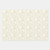 Pastel Bloemen Rozen Strepen Elegante Bruid Inpakpapier Vel (Voorkant 3)