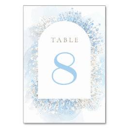 pastel blue baby's breath table number kaart