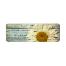 pastel blue barnwood land daisy bruiloft
