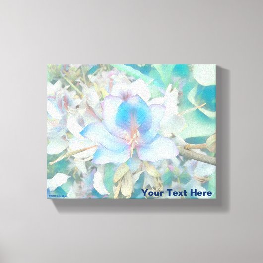 Pastel Blue Blossom Canvas Afdruk (Voorkant)
