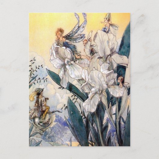 Pastel Blue Faires Briefkaart (Voorkant)