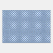 Pastel Blue Gingham Daisy Flower Polka Dot Pattern Inpakpapier Vel (Voorkant 3)