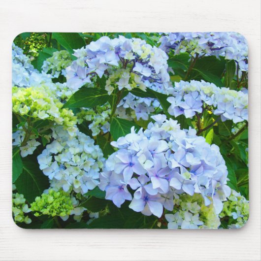 Pastel Blue Hydrangea Flowers Garden mousepad Muismat (Voorkant)