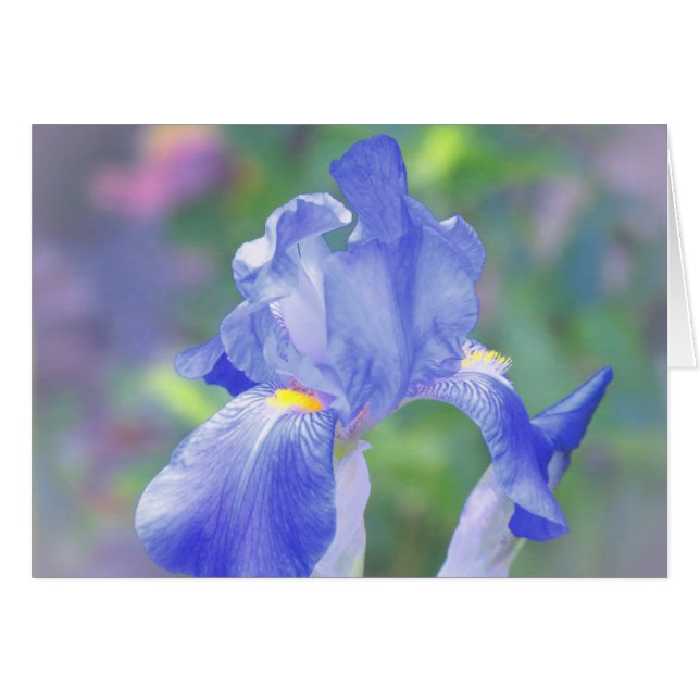 Pastel Blue - Iris (Voorkant Horizontaal)