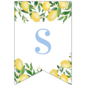 Pastel Blue Lemons Sweet Boy Baby shower Vlaggetjes (Tweede vlag)