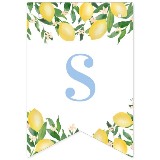 Pastel Blue Lemons Sweet Boy Baby shower Vlaggetjes (Tweede vlag)