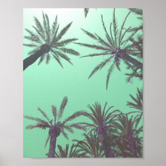 Pastel Blue Palm Trees - Zonnevaste foto afdrukken Poster (Voorkant)