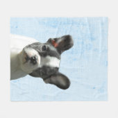 Pastel Blue Peekaboo Boston Terrier Puppy Nursery Fleece Deken (Voorkant (Horizontaal))