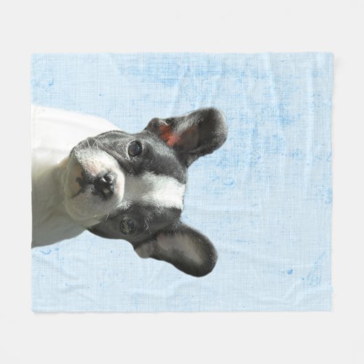 Pastel Blue Peekaboo Boston Terrier Puppy Nursery Fleece Deken (Voorkant (Horizontaal))