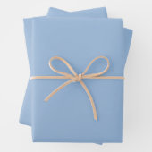 Pastel Blue Plain Solid Color Inpakpapier Vel (In situ)