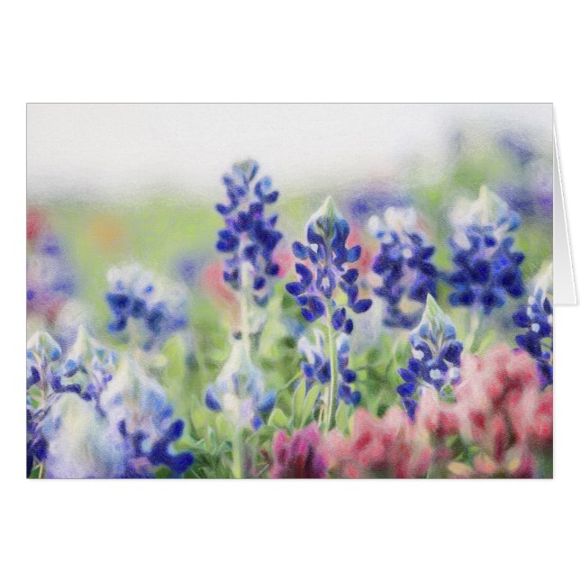 Pastel Bluebonnets (Voorkant Horizontaal)