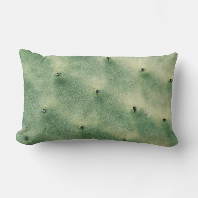 Pastel Bord Groene Cactus Sappig Kussen Kussen Kus (Voorkant)