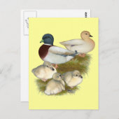 Pastel Call Duck Family Briefkaart (Voorkant / Achterkant)