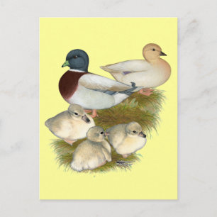 Pastel Call Duck Family Briefkaart