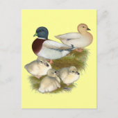 Pastel Call Duck Family Briefkaart (Voorkant)
