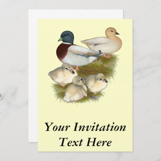 Pastel Call Duck Family Kaart (Voorkant / Achterkant)