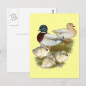 Pastel Call Eend Familie Briefkaart (Voorkant / Achterkant)