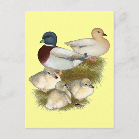 Pastel Call Eend Familie Briefkaart (Voorkant)
