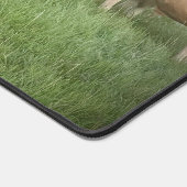  Pastel Charolais runderen in de wei Bureaumat (Hoek)