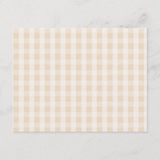 Pastel Cutie Pie Gingham Baby shower Advies Mam Informatiekaartje (Achterkant)