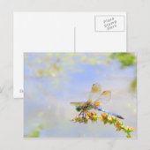Pastel Dragonfly Briefkaart (Voorkant / Achterkant)