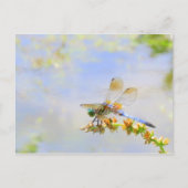 Pastel Dragonfly Briefkaart (Voorkant)