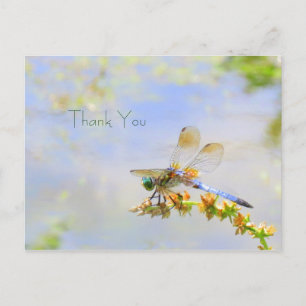 Pastel Dragonfly Dank u Briefkaart