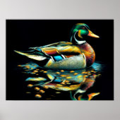 Pastel Drawing Duck op Water Poster (Voorkant)